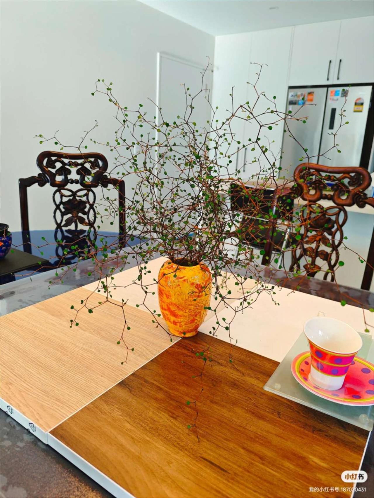 Lilyのhome Elegant Retreat Near Riccarton Mall Κράισττσερτς Εξωτερικό φωτογραφία